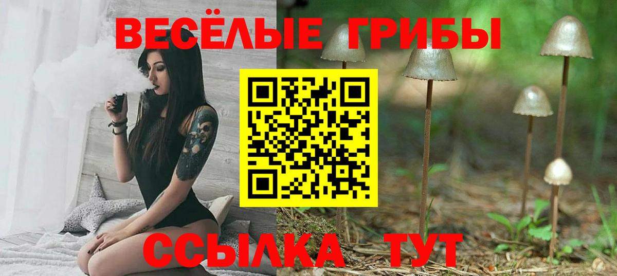 МЕТАДОН Томск